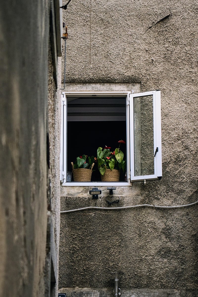 Window Sill